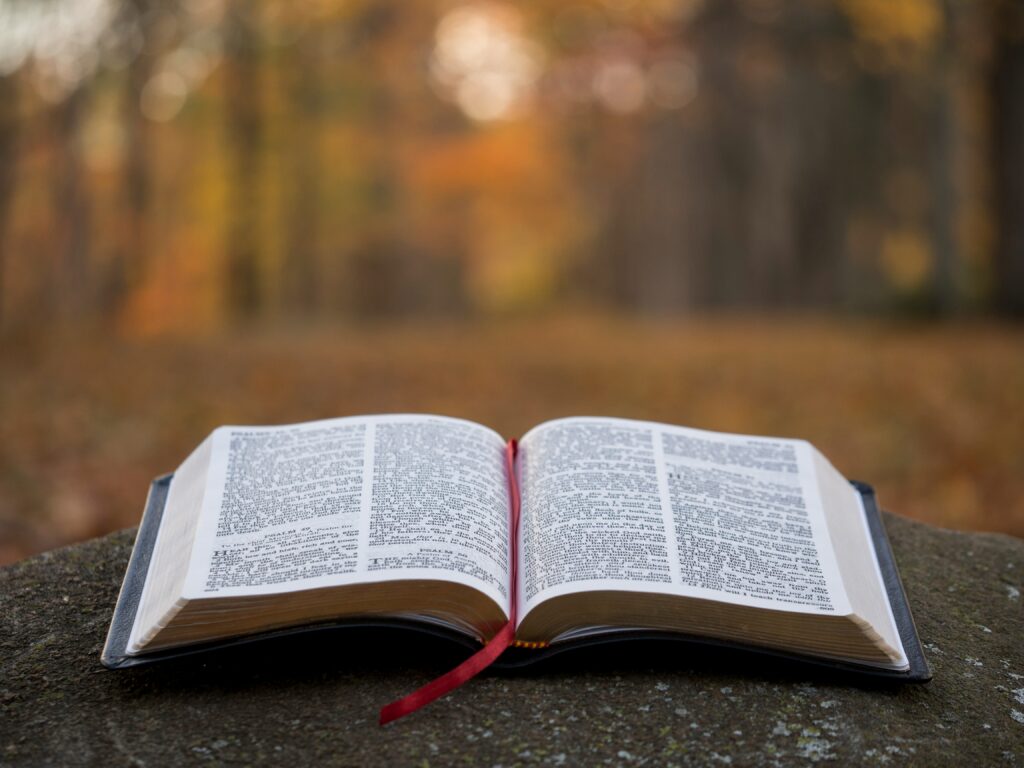 The Power of Words